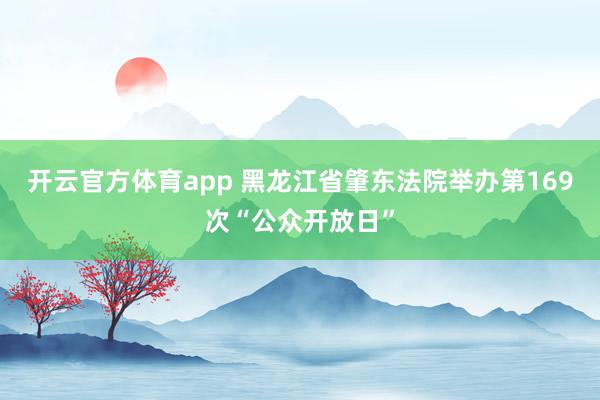 开云官方体育app 黑龙江省肇东法院举办第169次“公众开放日”