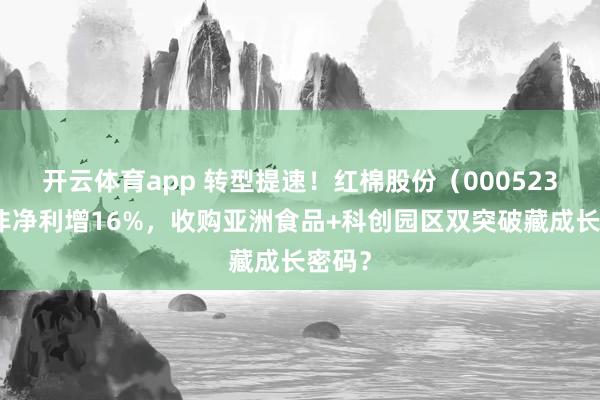 开云体育app 转型提速！红棉股份（000523）扣非净利增16%，收购亚洲食品+科创园区双突破藏成长密码？