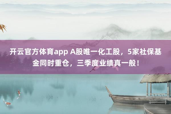 开云官方体育app A股唯一化工股，5家社保基金同时重仓，三季度业绩真一般！
