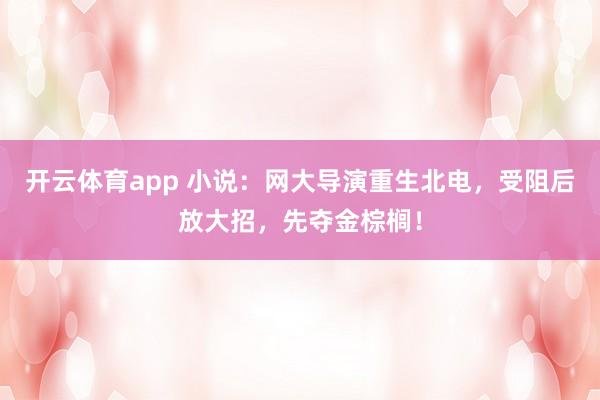 开云体育app 小说：网大导演重生北电，受阻后放大招，先夺金棕榈！