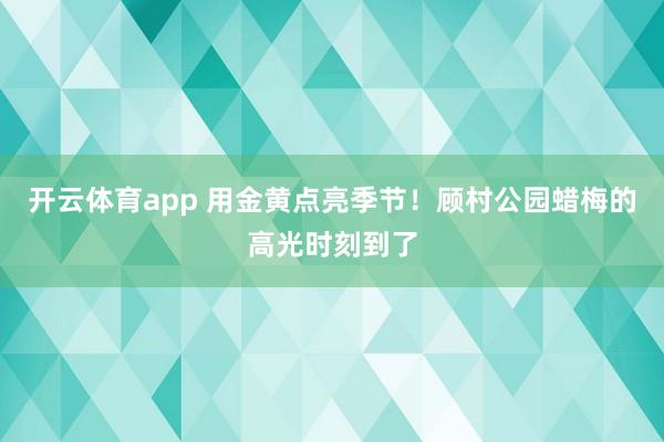 开云体育app 用金黄点亮季节！顾村公园蜡梅的高光时刻到了