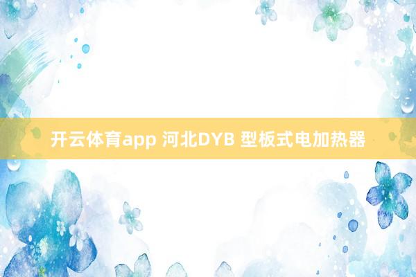开云体育app 河北DYB 型板式电加热器
