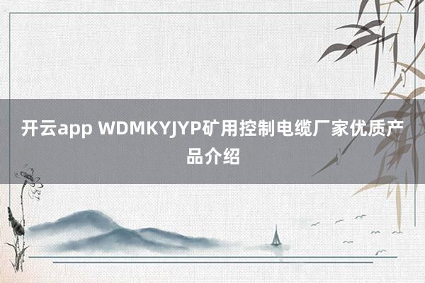 开云app WDMKYJYP矿用控制电缆厂家优质产品介绍