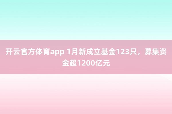 开云官方体育app 1月新成立基金123只,募集资金超1200亿元