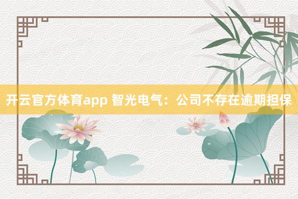 开云官方体育app 智光电气：公司不存在逾期担保