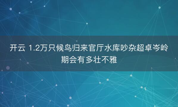 开云 1.2万只候鸟归来官厅水库吵杂超卓岑岭期会有多壮不雅